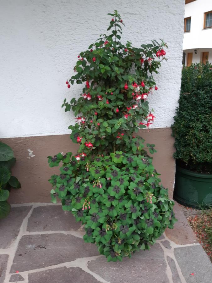 הוילה מאיירהופן Nieslerhof מראה חיצוני תמונה